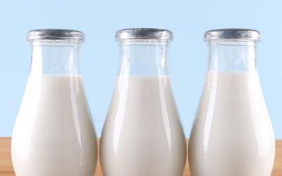 MILK NUTRITION : FACTS, VALUE AND INFORMATION | NAMASTE INDIA