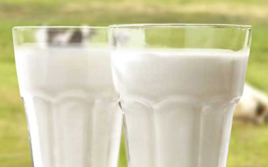 HOW TO CHOOSE THE BEST MILK BRAND IN INDIA?